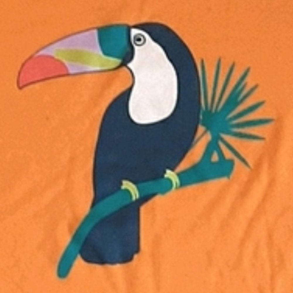 Tropical Topical | Graphic Print Top | Toucan